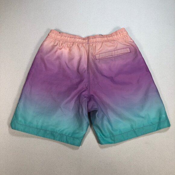 Jordan DNA Pool Shorts Mens S 29 Purple Mesh Liner Drawstring Multicolor Rainbow - Picture 2 of 13